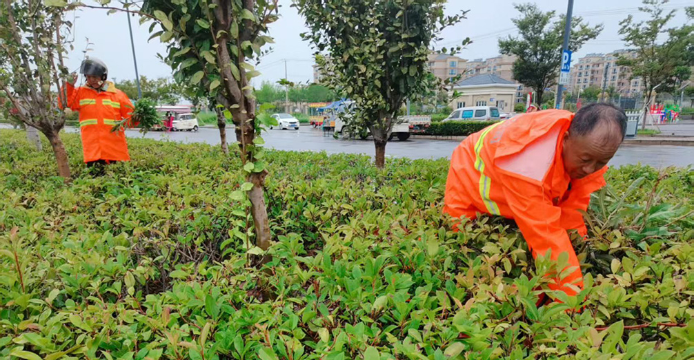 2b152f60c0a04338255a354701dd4883